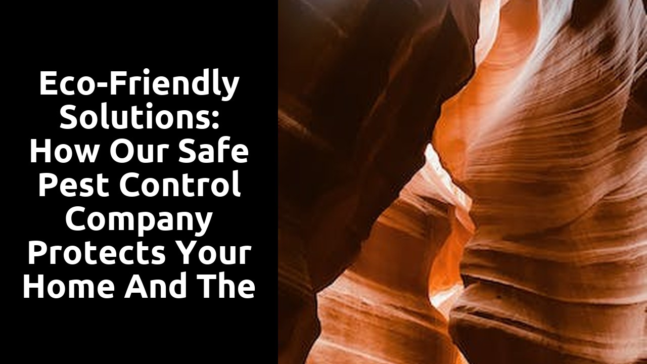 Eco-Friendly Solutions: How Our Safe Pest Control Company Protects Your Home and the Environment